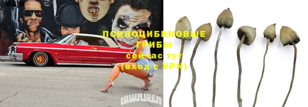 бутират Верея