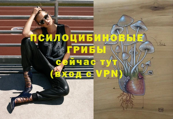 мяу мяу мука Верхнеуральск