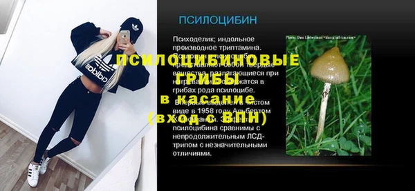мяу мяу мука Верхнеуральск