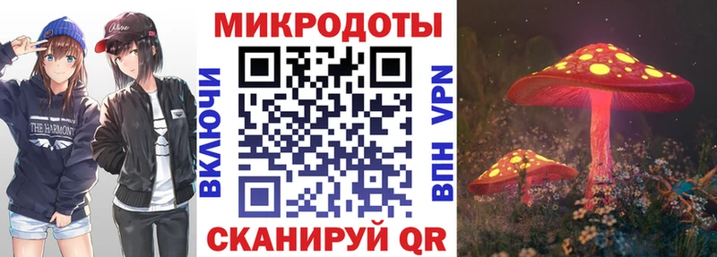 Галлюциногенные грибы Psilocybe  Невельск 